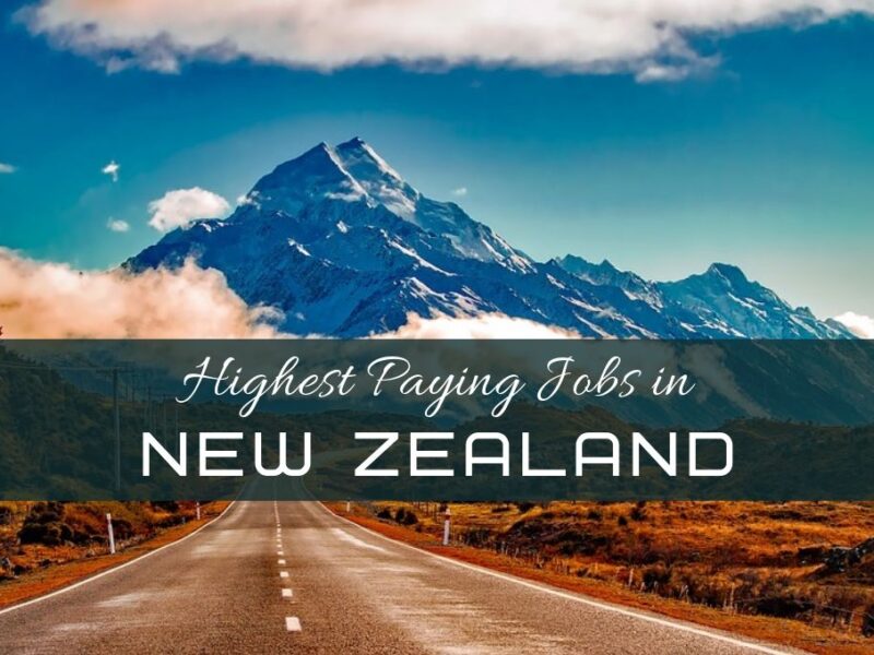 Highest-Paying-Jobs-in-New-Zealand for foreigners
